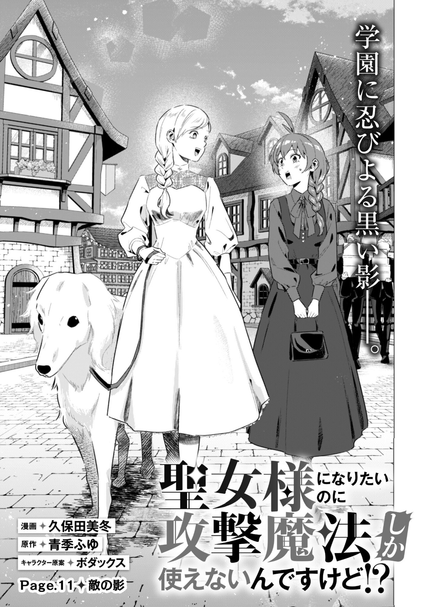 SEIJO SAMA NI NARITAI NO NI KOGEKI MAHO SHIKA TSUKAENAI NDESUKEDO!? Chapter 11 page 6 - nihonkuni.com