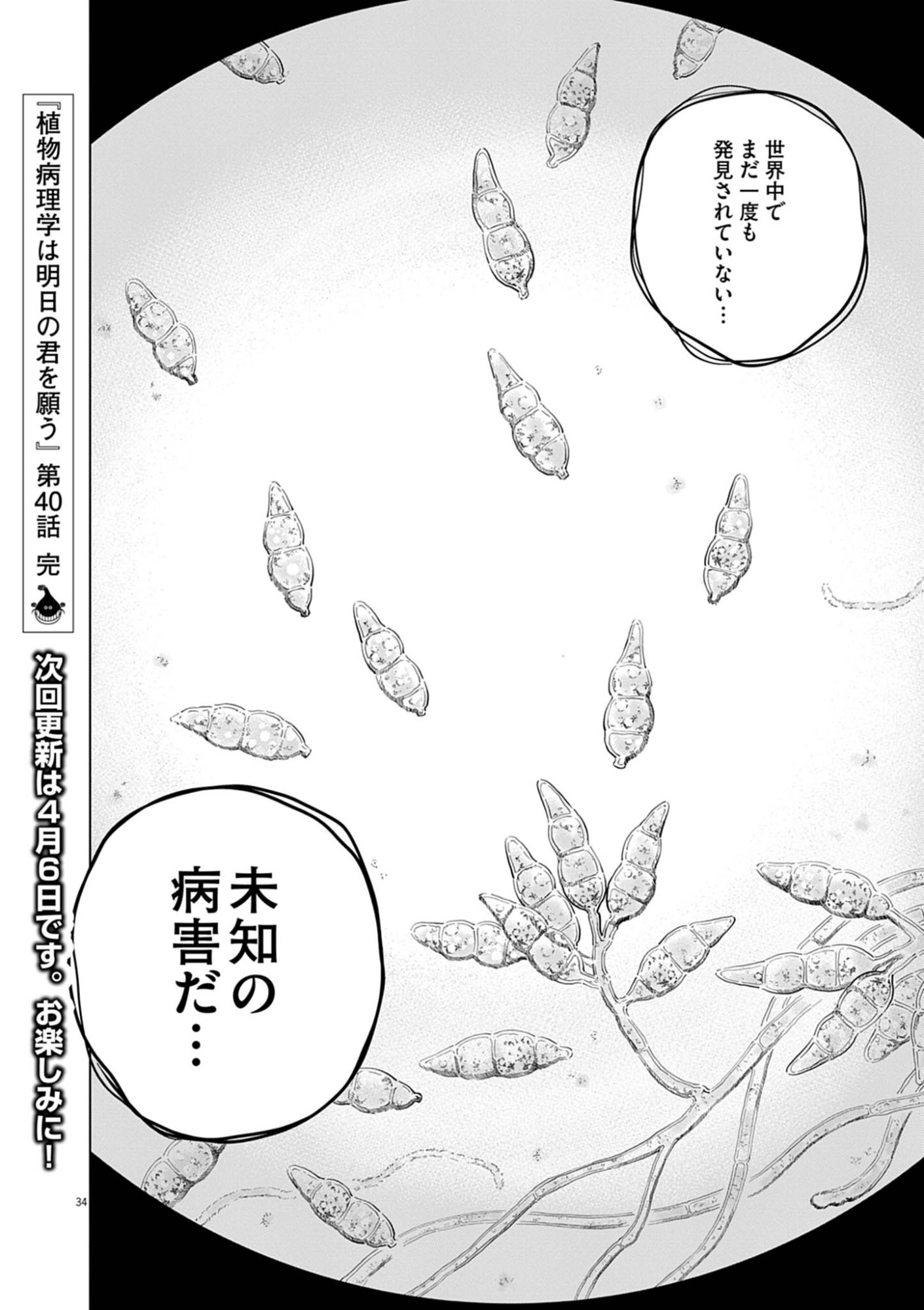 SHOKUBUTSU BYOURIGAKU WA ASHITA NO KIMI O NEGAU Chap 40 - Pic 34