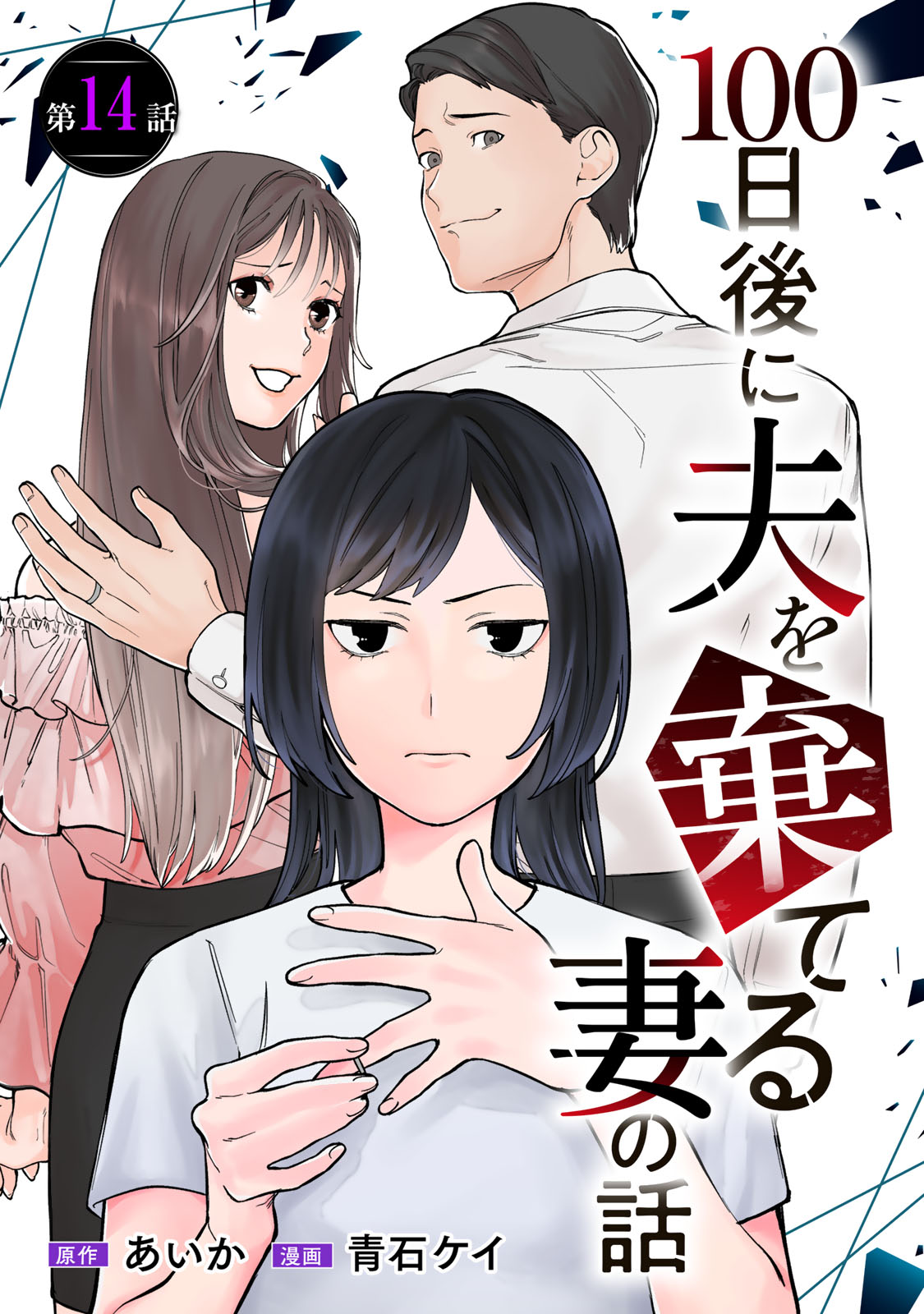 HYAKU-NICHIGO NI OTTO O SUTERU TSUMA NO HANASHI Chapter 14 page 1 - nihonkuni.com