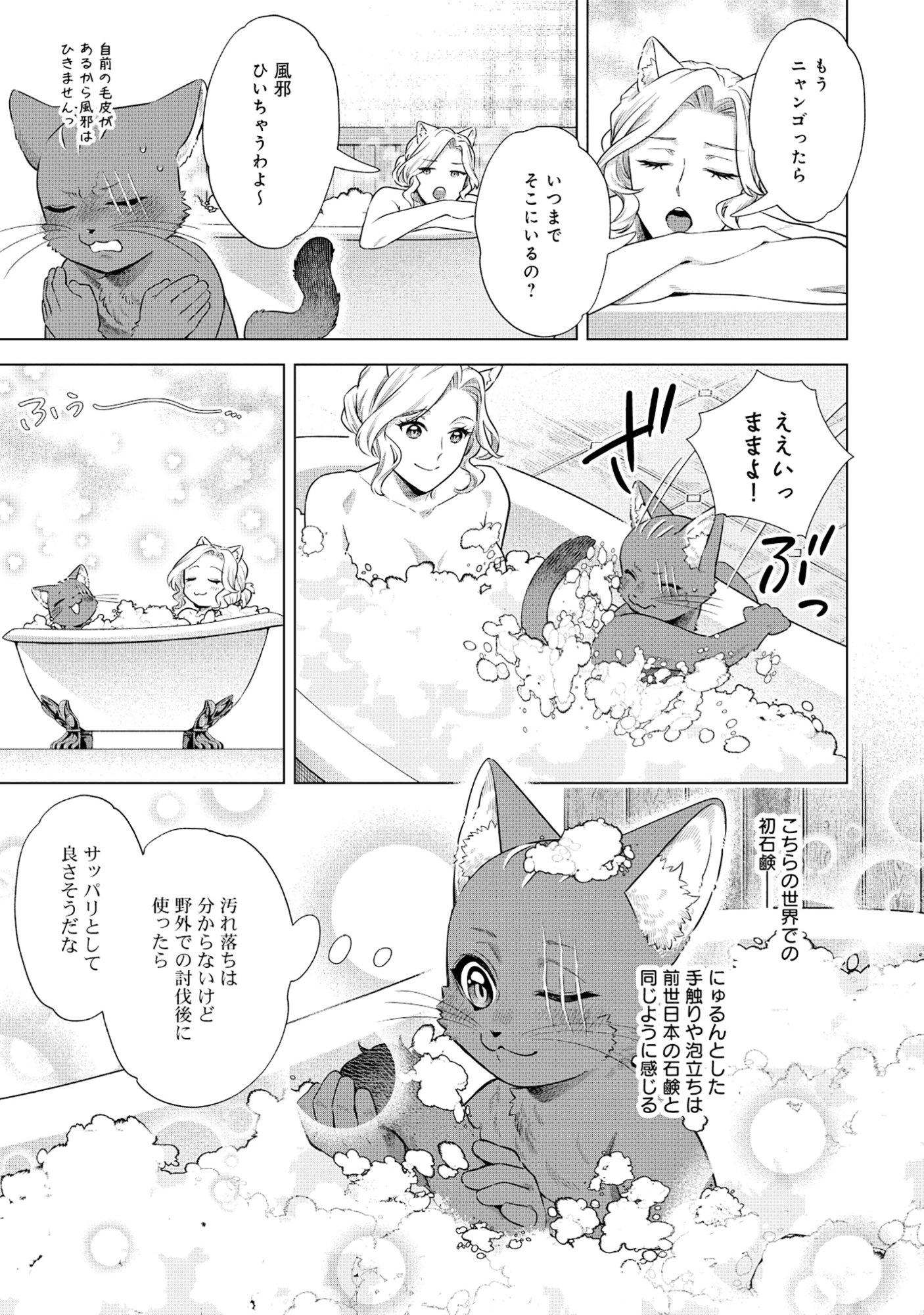 KURONEKO NYANGO NO BOKEN RIBUTO REA ZOKUSEI WO HIKIATETA NODE, KIMAMA NA BOKENSHA WO MEZASHIMASU - RAW Chapter 9.1 - Page 11