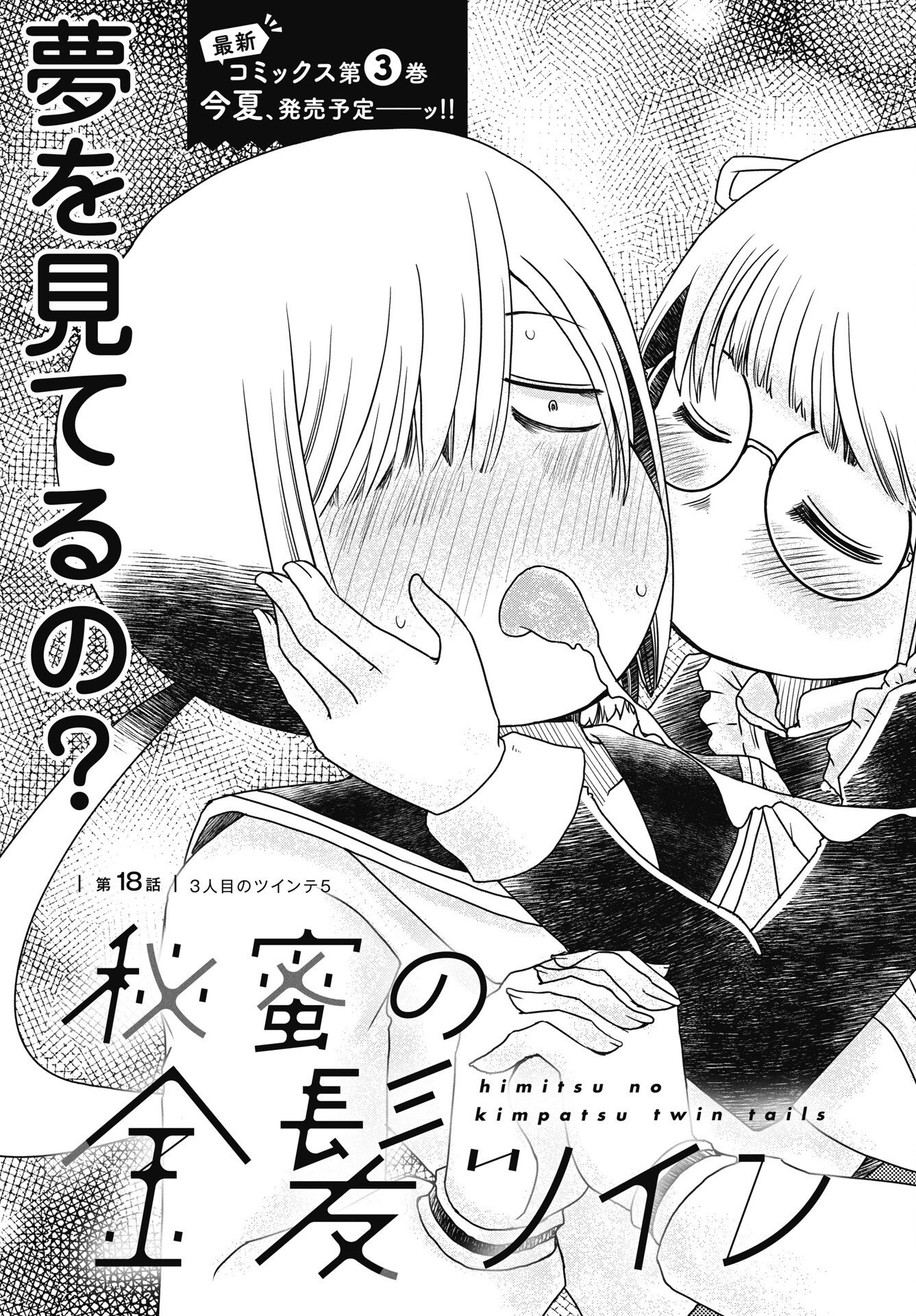 HIMITSU NO KIMPATSU TWIN TAILS Chapter 18 page 3 - nihonkuni.com