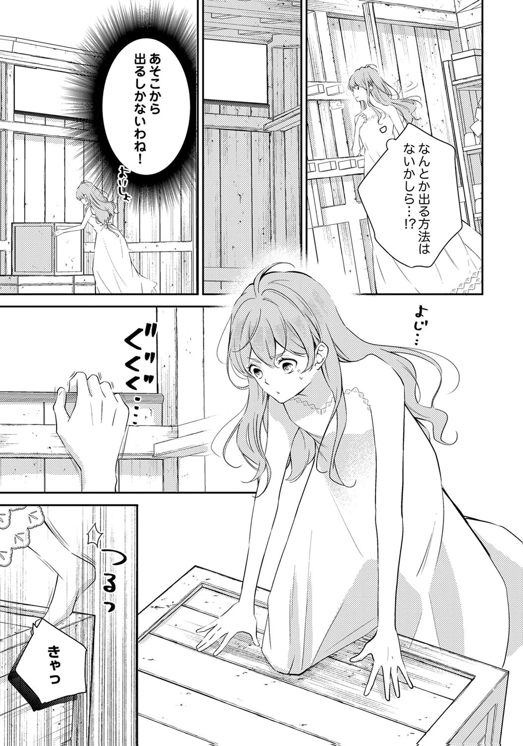 "ANE NO SPARE" TO YOBARETA MIGAWARI JINSEI WA, KYOU DE YAMERU KOTO NI SHIMASU: HENKYOU DE JIYUU WO MANKITSU CHUU NANODE, IMASARA SHIN NO SEIJO TO IWARETE MO SHIRIMASEN! Chapter 6 page 17 - nihonkuni.com