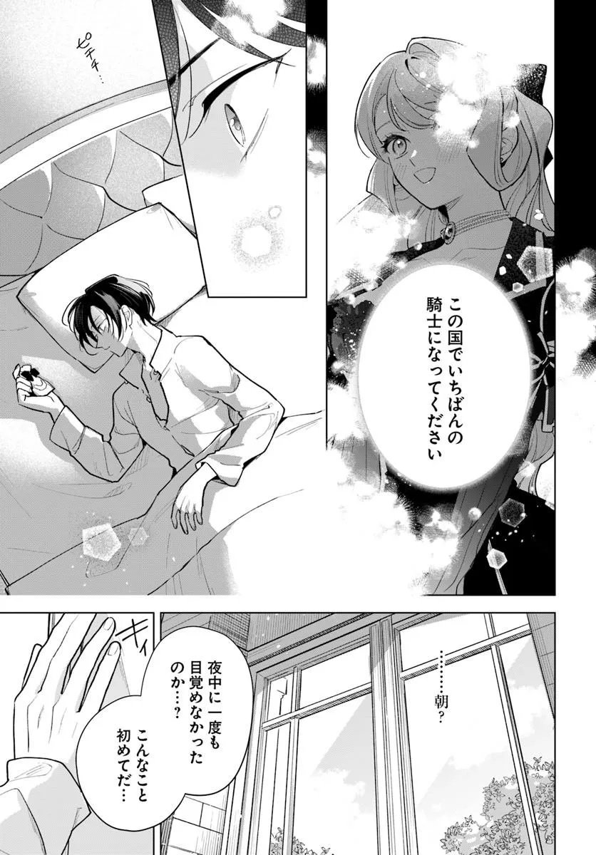 WATAKUSHI NI KOI SHITE KUDASAI! ~LOOP NIKAIME NO AKUYAKU REIJOU DESU GA HAMETSU KAIHI NO TAME "YUWAKU" SHIMASU~ RAW Chapter 10.1 page 9 - nihonkuni.com