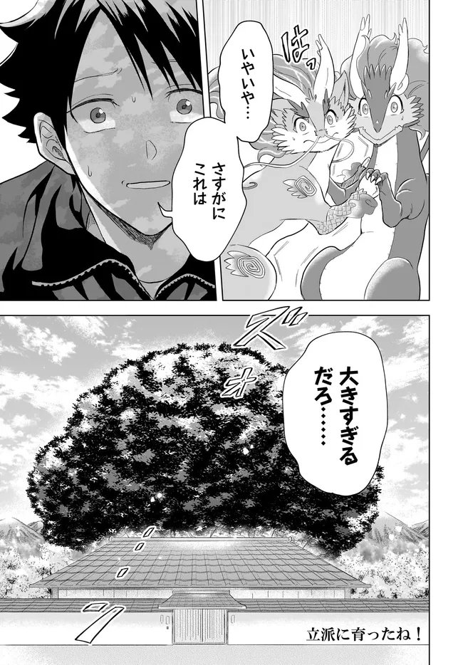KAMI NO NIWATSUKI KUSUNOKI-TEI Chapter 41 page 17 - nihonkuni.com