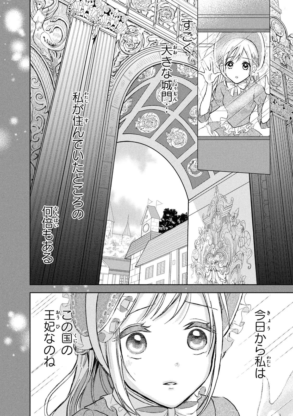OUHI-SAMA WA RIKON SHITAI - ISEKAI KARA SEIJO-SAMA GA KITA NO DE, MOU OYAKU GOMEN DESU WA NE? Chapter 2 - Page 15