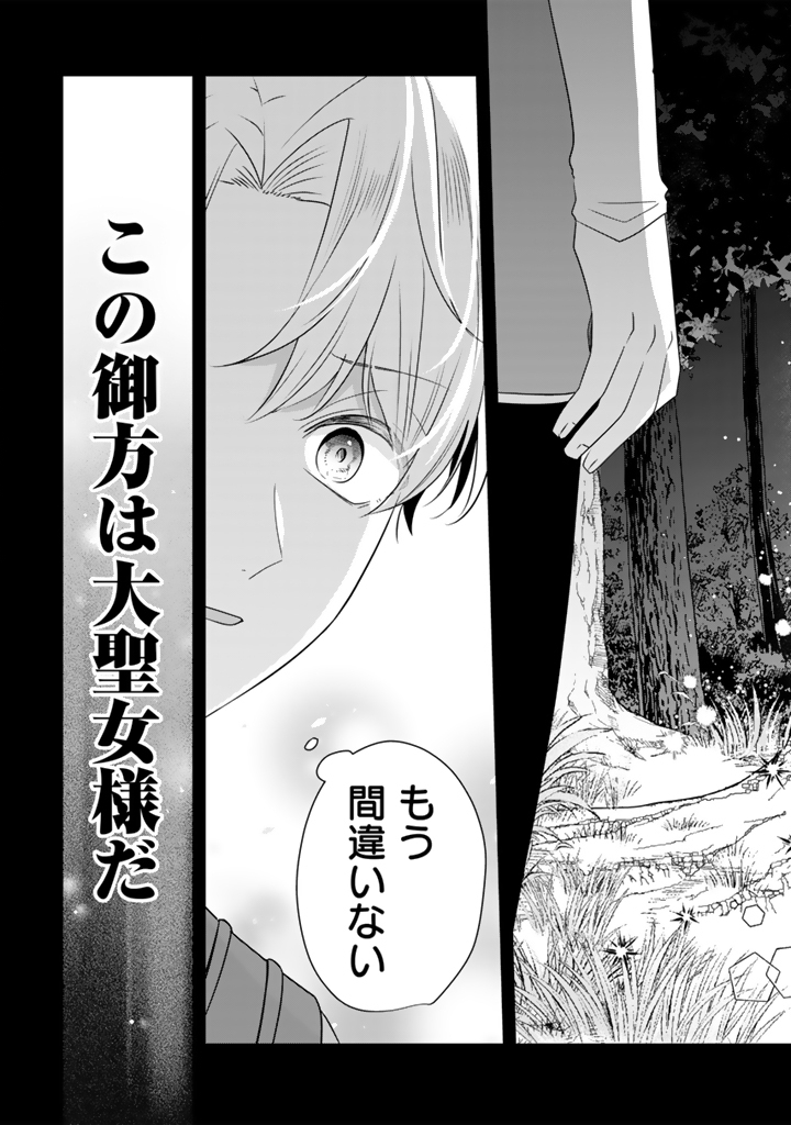 Read TENSEI SEIJO WA HIKIKOMORI SLOW LIFE WO MEZASHITAI! Chapter 11.1 [High Quality / Full] - Page 9 - nicomanga.net