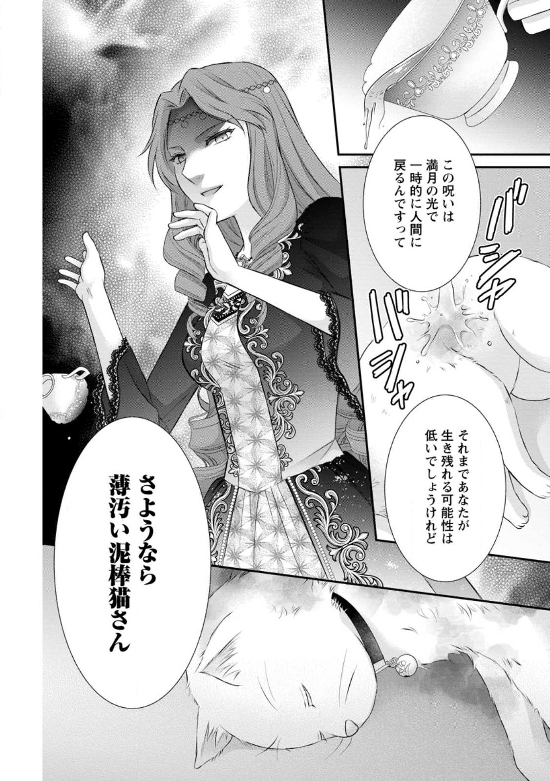 Read NOROI DE NEKO NI SARETA AKUNE, O TAISHI NI HIROWARERU Chapter 20.3 [High Quality / Full] - Page 9 - nicomanga.net