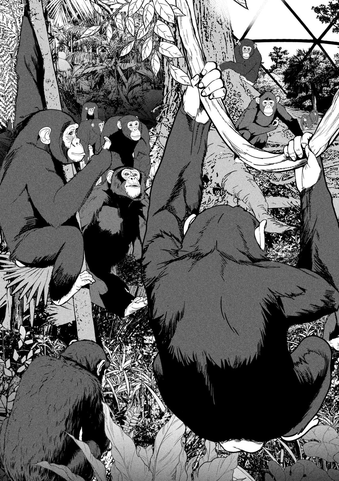 Read ANK : A MIRRORING APE Chapter 1 [High Quality / Full] - Page 17 - nicomanga.net