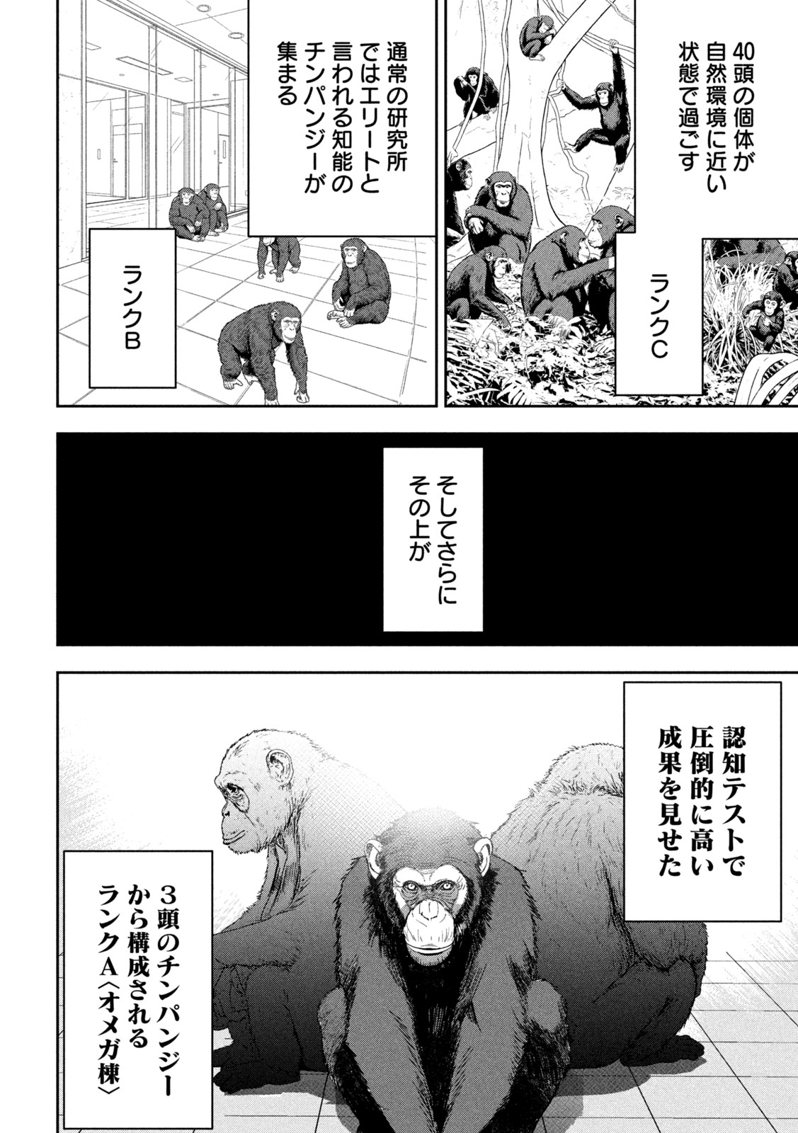 Read ANK : A MIRRORING APE Chapter 1 [High Quality / Full] - Page 44 - nicomanga.net