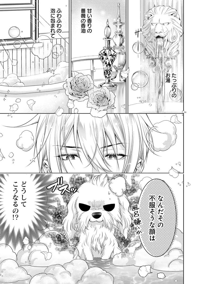 Read KOKUOU HEIKA, WATASHI WO KATTE KUDASAI!: IMOUTO NO MIGAWARI DE MITSUGIMONO NI SAREMASHITA GA, AISARE INU WO MEZASHIMASU Chapter 9.1 [High Quality / Full] - Page 1 - nicomanga.net