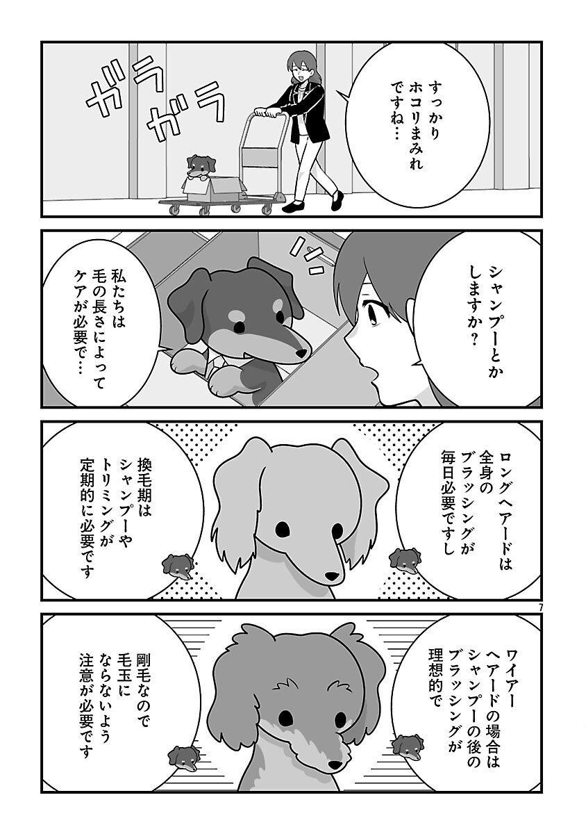 HISHOWAN: HISHO WA INU DESU GA NANIKA? Chapter 8.2 page 9 - nihonkuni.com
