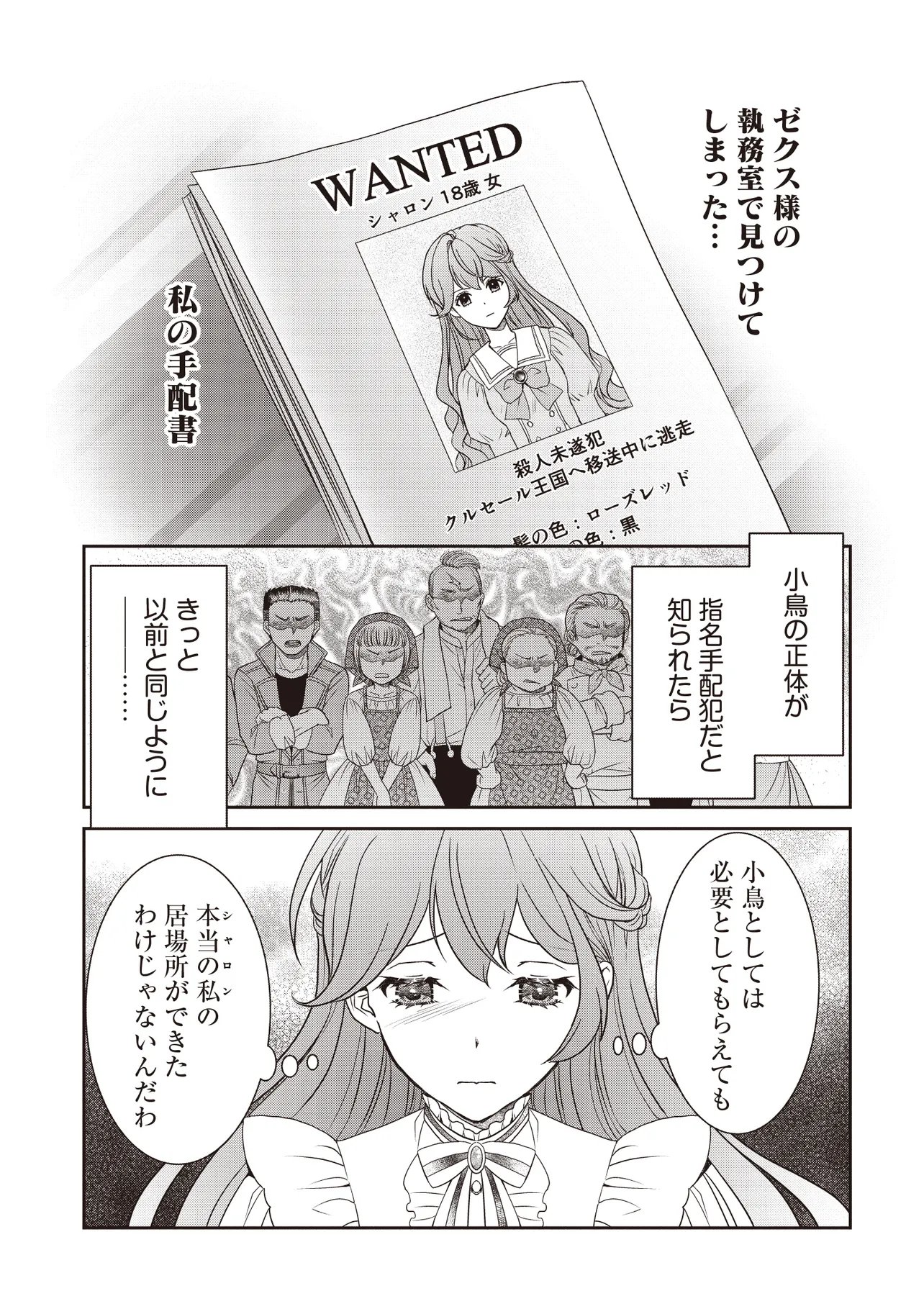 SAIKYOU HENKYOU HAKU NI HIROWAREMASHITA, KOTORI (=AKUJO?) DESU Chapter 5.2 page 12 - nihonkuni.com