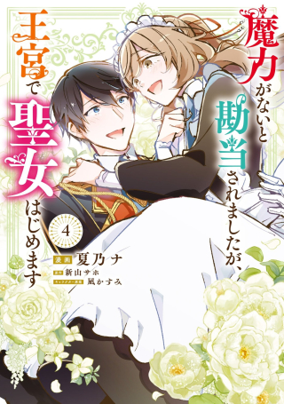 MARYOKU GA NAI TO KANDOUSAREMASHITA GA, OUKYUU DE SEIJOU HAJIMEMASU