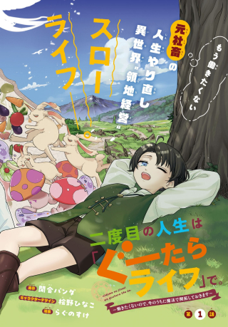 NI DOME NO JINSEI HA "GU TARA LIFE" DE. HATARAKITAKUNAINODE, IMA NO UCHI NI MAHO DE KAITAKU SHITEOKIMASU