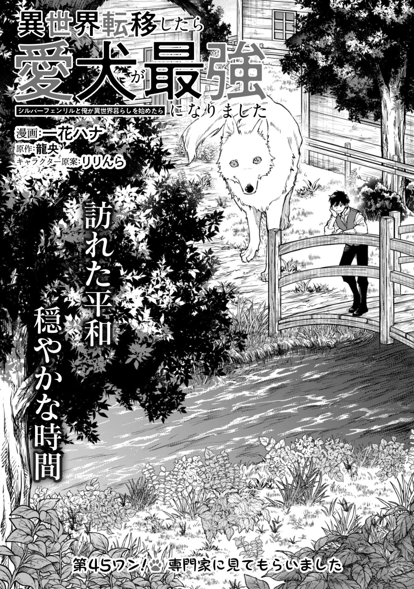 ISEKAI TENI SHITARA AIKEN GA SAIKYOU NI NARIMASHITA: SILVER FENRIR TO ORE GA ISEKAI KURASHI O HAJIMETARA Chapter 45 - Page 2