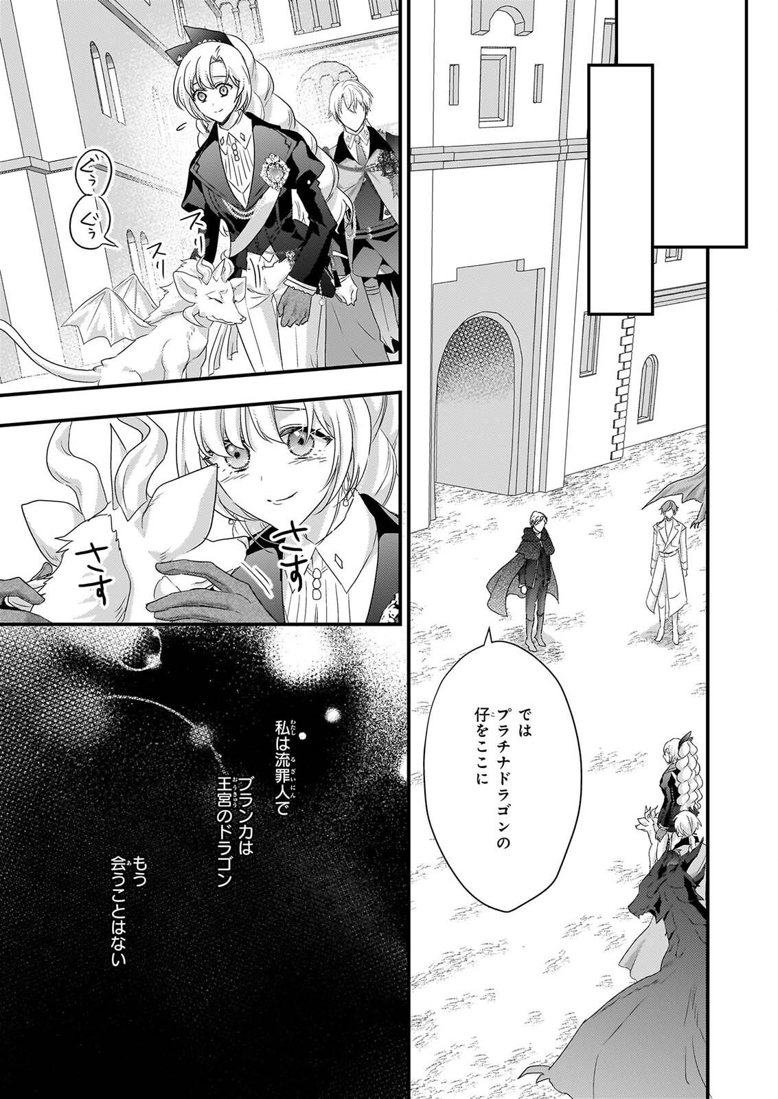 TSUIHO SARETA DORAGON ZUKI REIJO WA, HOKUHEN HENKYOHAKU NO AI NI KIZUKANAI Chapter 6 - Page 17