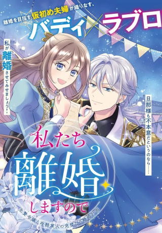 WATASHITACHI RIKON SHIMASU NODE: IKUNIE REIJOU TO REIKOKU GUNJIN NO KANPEKI NARU RIKON KEIKAKU