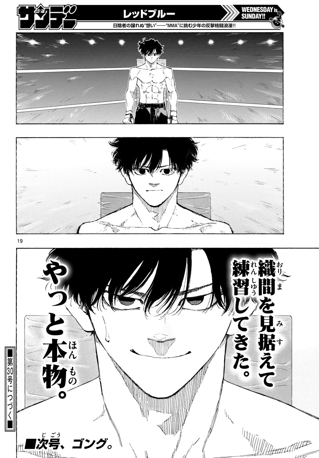 Read RED BLUE Chapter 197 [High Quality / Full] - Page 19 - dark.nicomanga.com