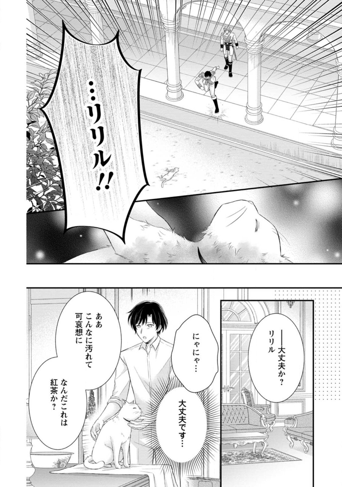 NOROI DE NEKO NI SARETA AKUNE, O TAISHI NI HIROWARERU Chapter 21.2 - Page 2