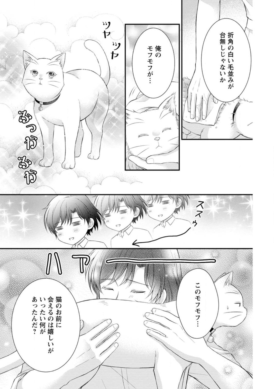 NOROI DE NEKO NI SARETA AKUNE, O TAISHI NI HIROWARERU Chapter 21.2 - Page 3