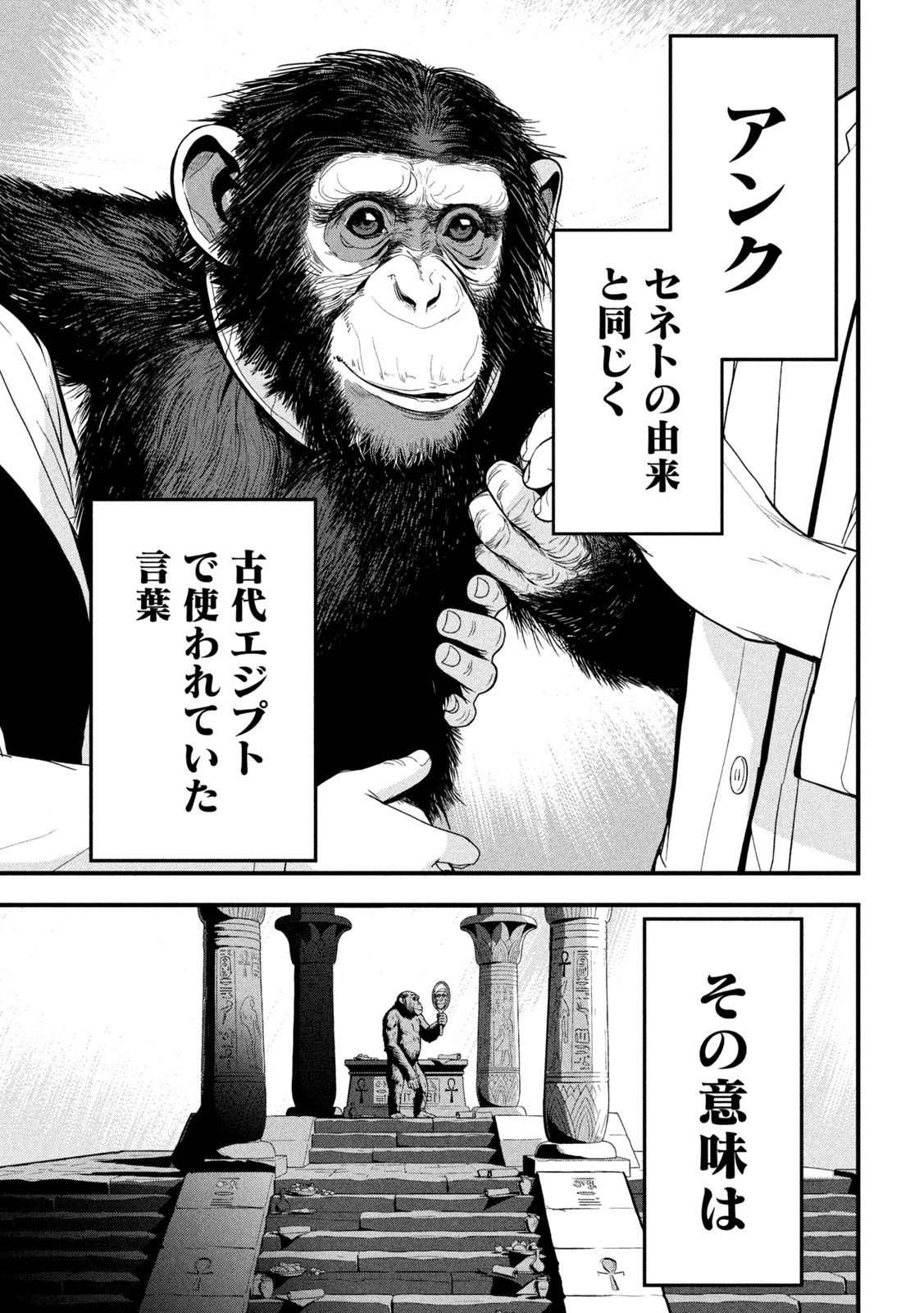 Read ANK : A MIRRORING APE Chapter 2 [High Quality / Full] - Page 37 - dark.nicomanga.com