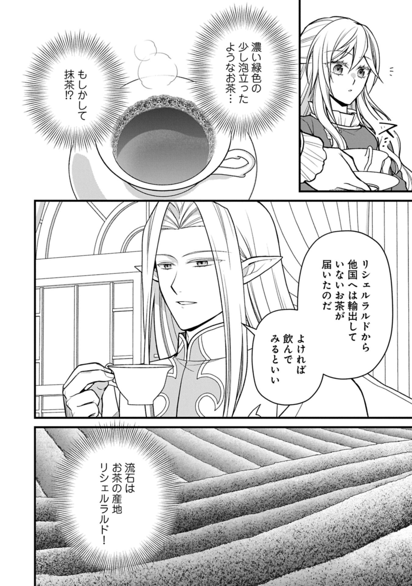 KONYAKU KAISHOU NOCHI, OHIKKOSHI. SEIRAN RIZERU NO KIMAMA DE YUUGA NA SEIKATSU. ~ SAISOKU KENBI NO TENSEI REIJOU WA ZENSEI CHIITO DE JIYUU WO MANKITSU SHIMASU ~ RAW Chapter 11.1 page 2 - nihonkuni.com