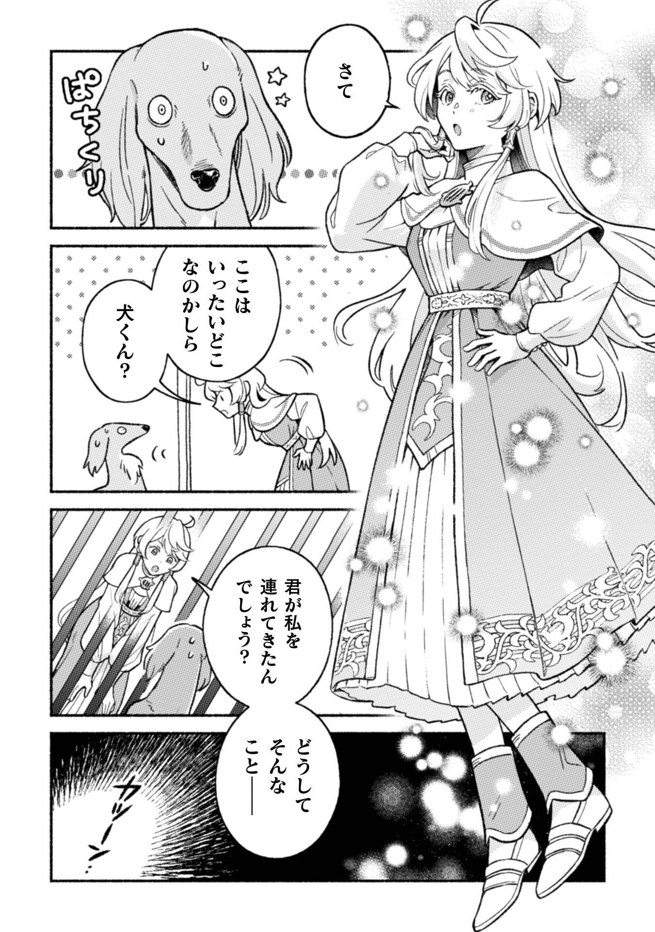 NEKURA KISHI NI YORU DEKIAI MANKITSU-CHUU NU BUSA NEKO, JITSU WA SEIJO DESU! Chapter 12 - Page 9