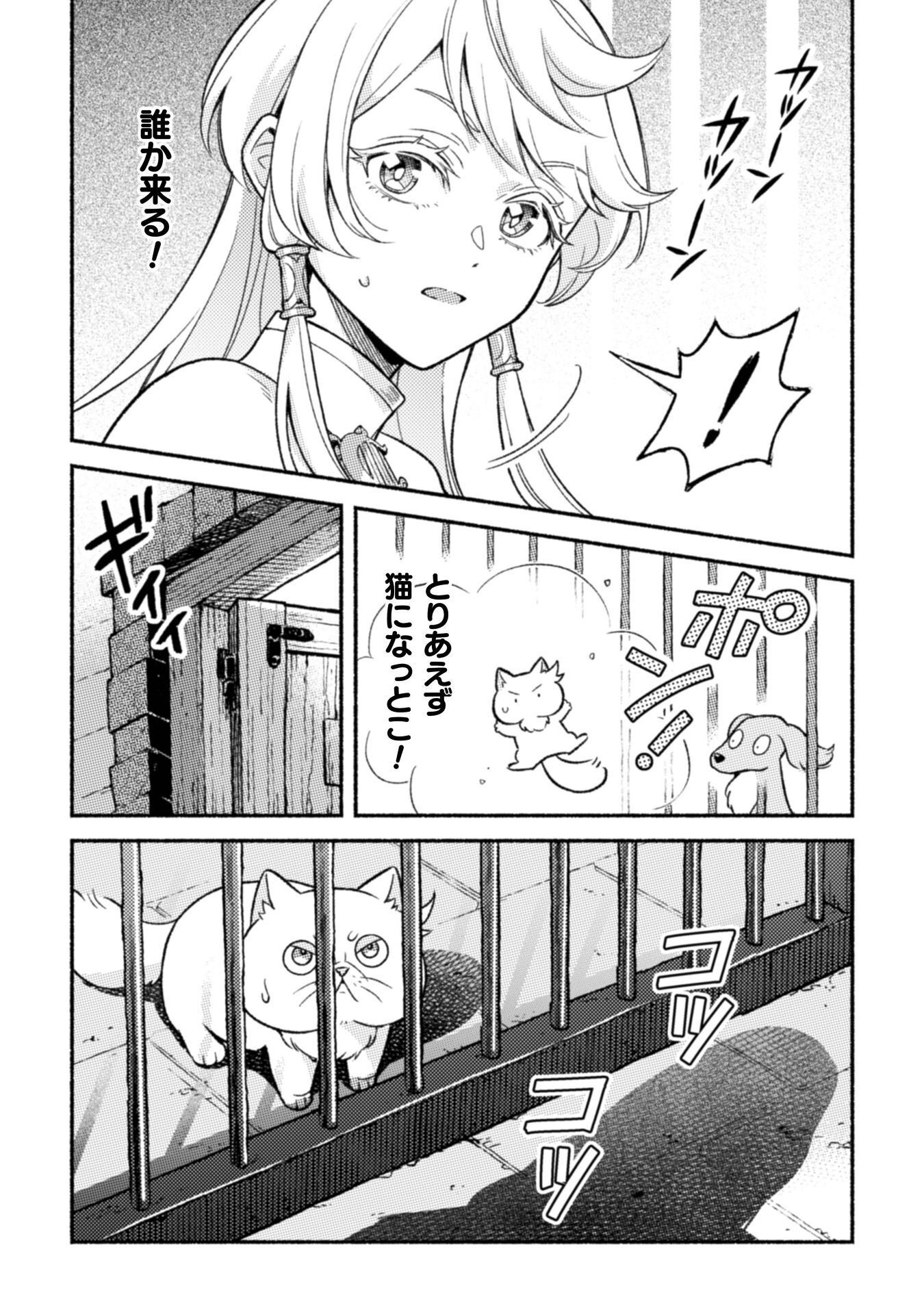 NEKURA KISHI NI YORU DEKIAI MANKITSU-CHUU NU BUSA NEKO, JITSU WA SEIJO DESU! Chapter 12 - Page 10