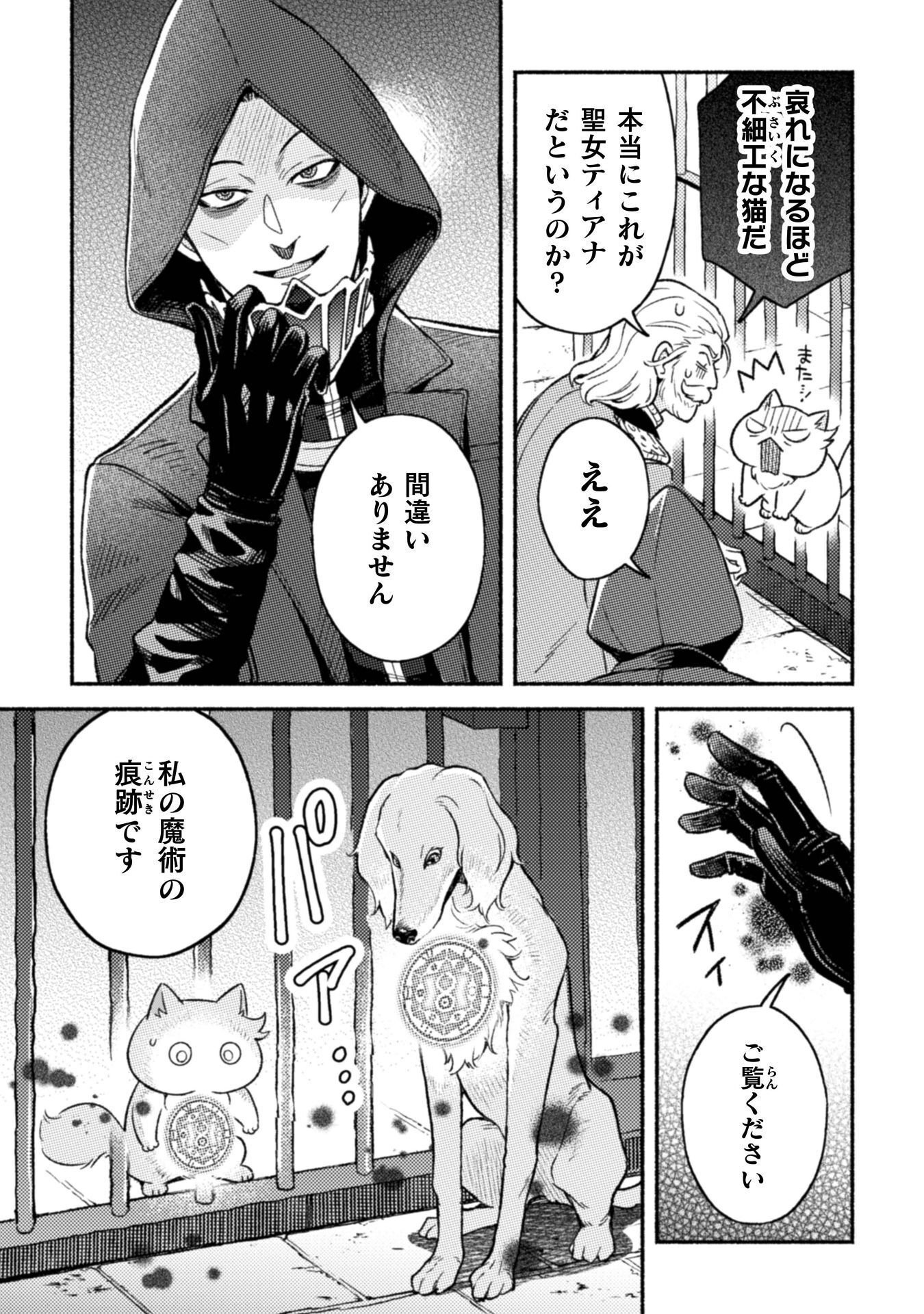 NEKURA KISHI NI YORU DEKIAI MANKITSU-CHUU NU BUSA NEKO, JITSU WA SEIJO DESU! Chapter 12 - Page 12