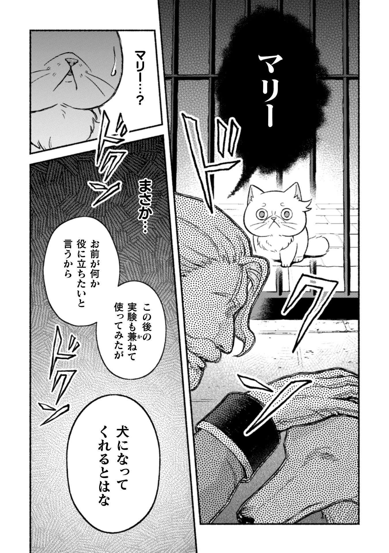 NEKURA KISHI NI YORU DEKIAI MANKITSU-CHUU NU BUSA NEKO, JITSU WA SEIJO DESU! Chapter 12 - Page 14