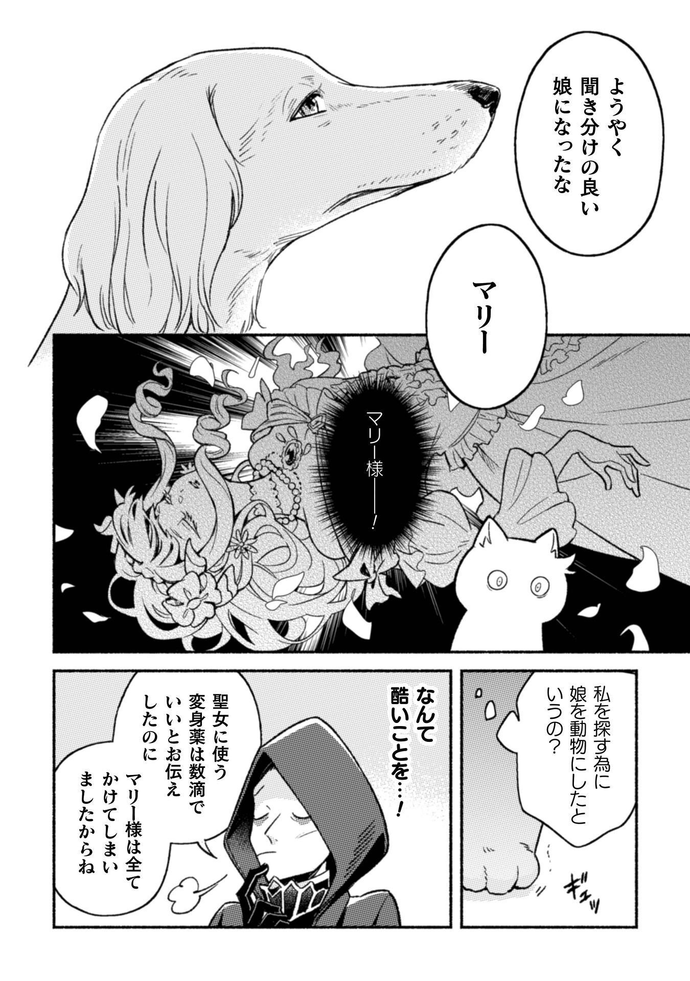 NEKURA KISHI NI YORU DEKIAI MANKITSU-CHUU NU BUSA NEKO, JITSU WA SEIJO DESU! Chapter 12 - Page 15