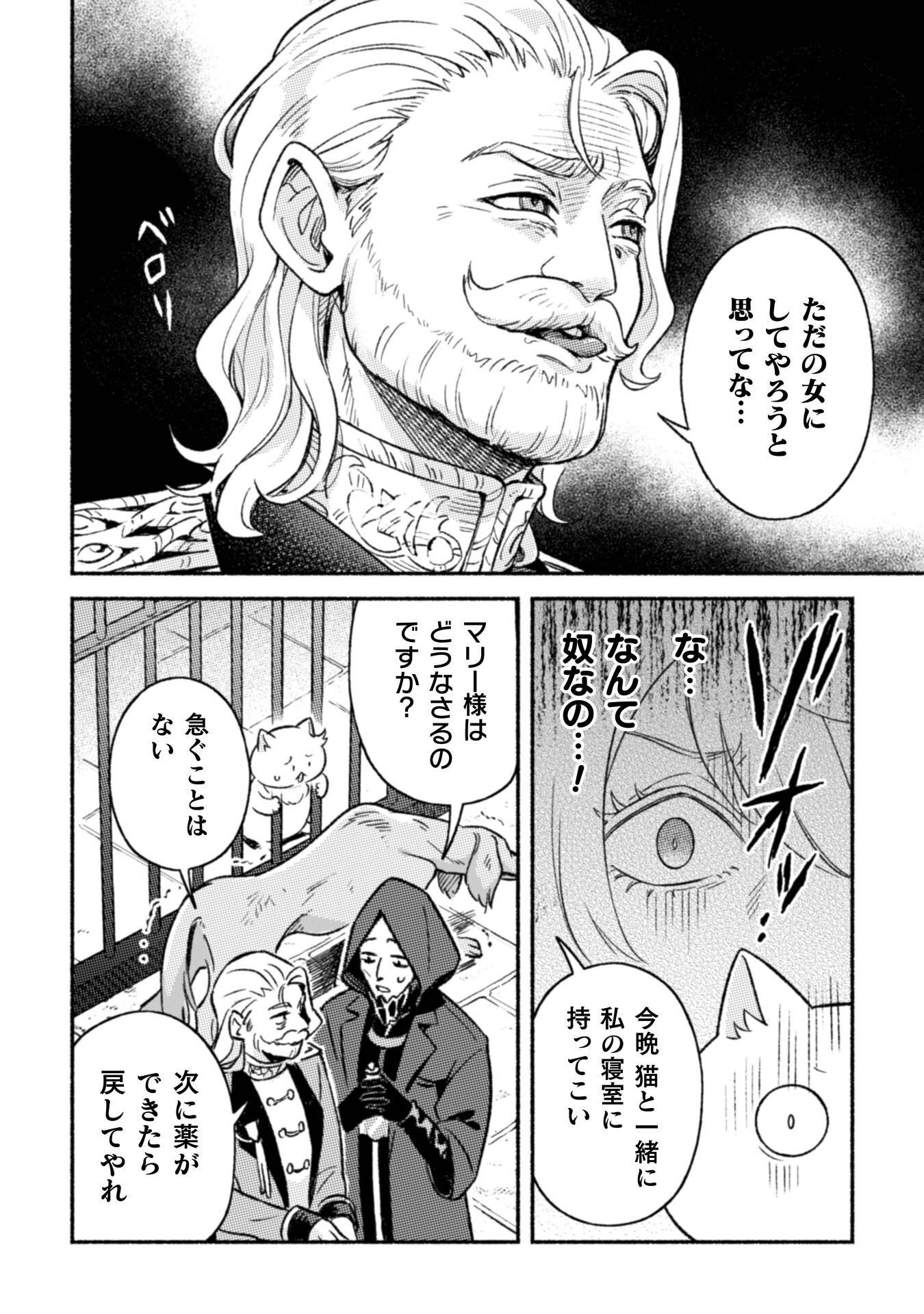 NEKURA KISHI NI YORU DEKIAI MANKITSU-CHUU NU BUSA NEKO, JITSU WA SEIJO DESU! Chapter 12 - Page 19