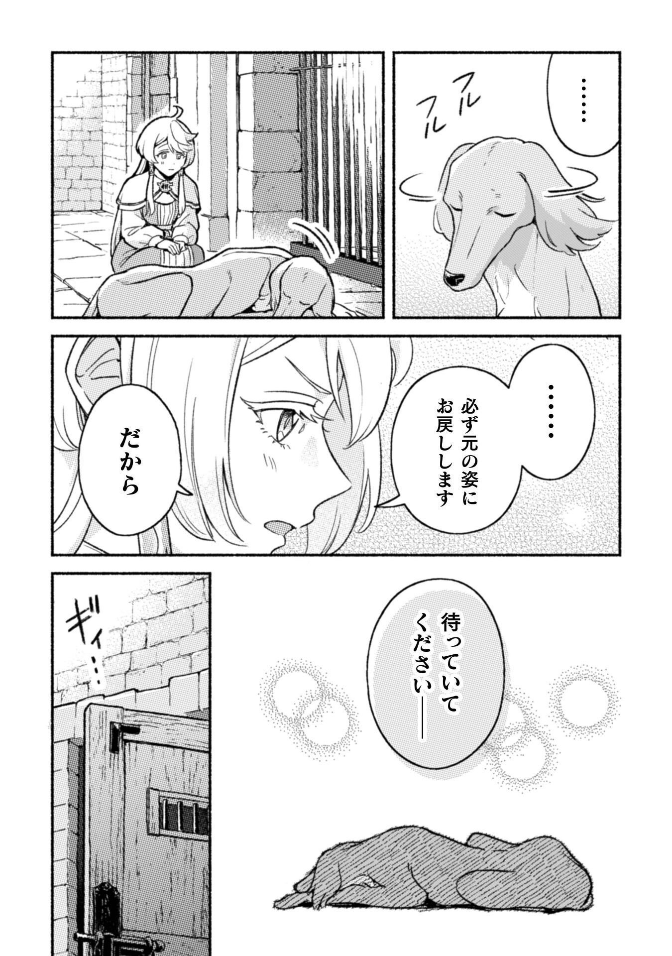 NEKURA KISHI NI YORU DEKIAI MANKITSU-CHUU NU BUSA NEKO, JITSU WA SEIJO DESU! Chapter 12 - Page 30