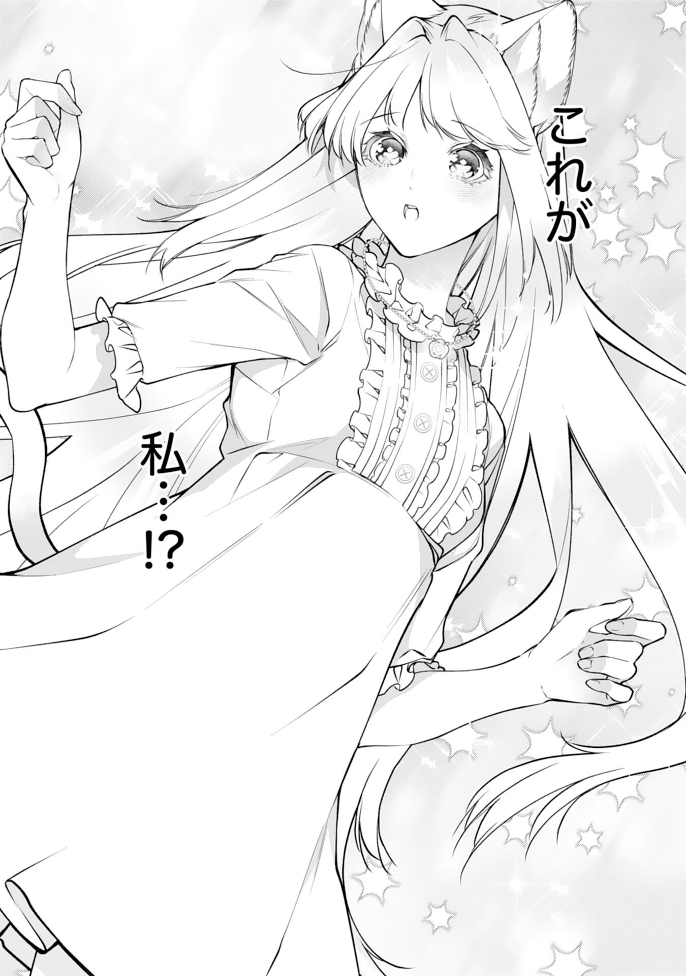 NEKO NEKO YOUJO NO AIJOU GOHAN - ISEKAI DE MOFUMOFU-TACHI NI RYOURI WO TSUKURIMASU! Chapter 18 page 14 - nihonkuni.com