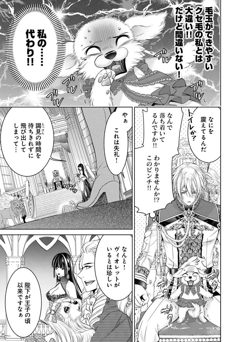 KOKUOU HEIKA, WATASHI WO KATTE KUDASAI!: IMOUTO NO MIGAWARI DE MITSUGIMONO NI SAREMASHITA GA, AISARE INU WO MEZASHIMASU Chapter 10.2 page 2 - nihonkuni.com