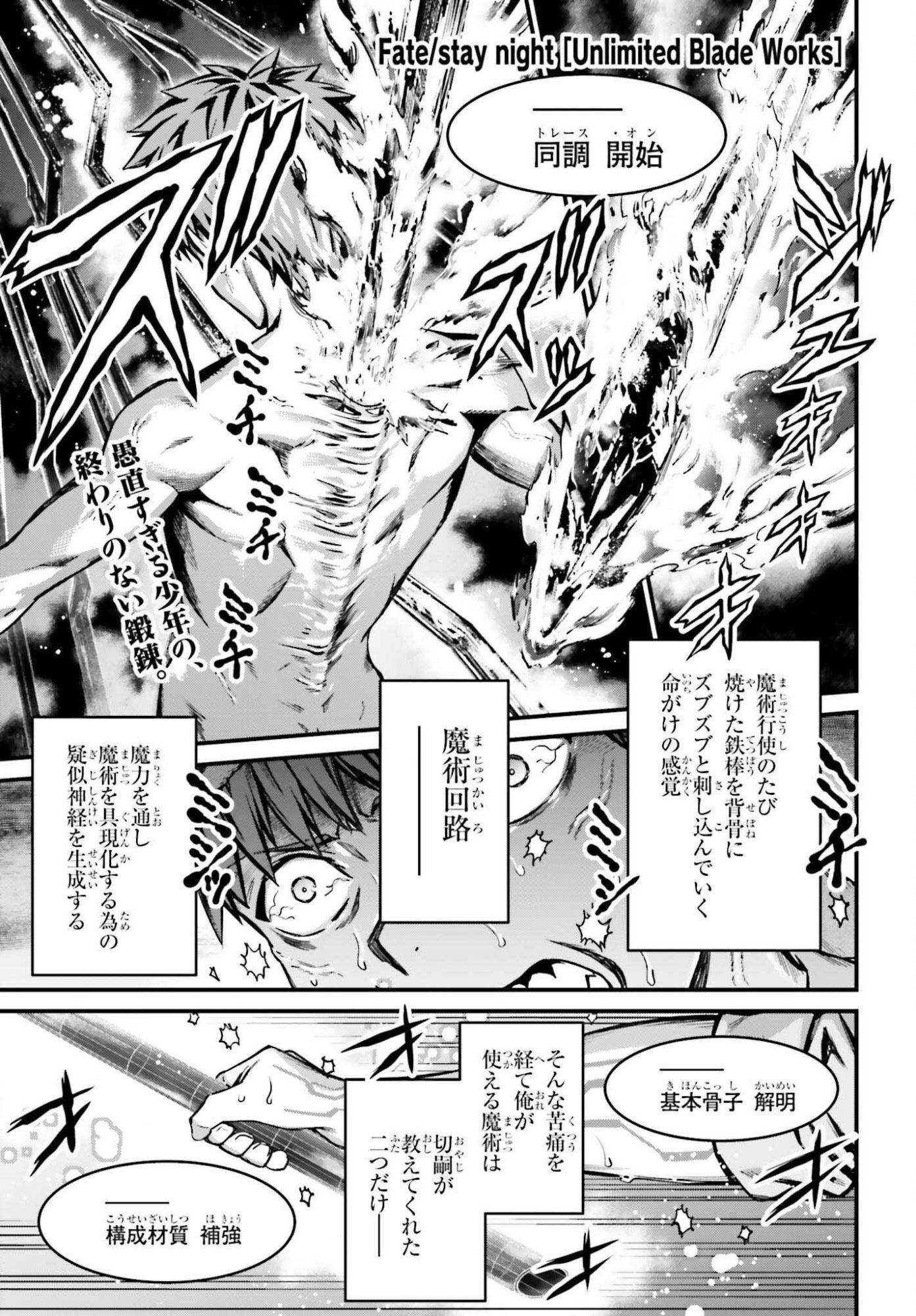 FATE/STAY NIGHT［UNLIMITED BLADE WORKS］ Chap 38 - Pic 1