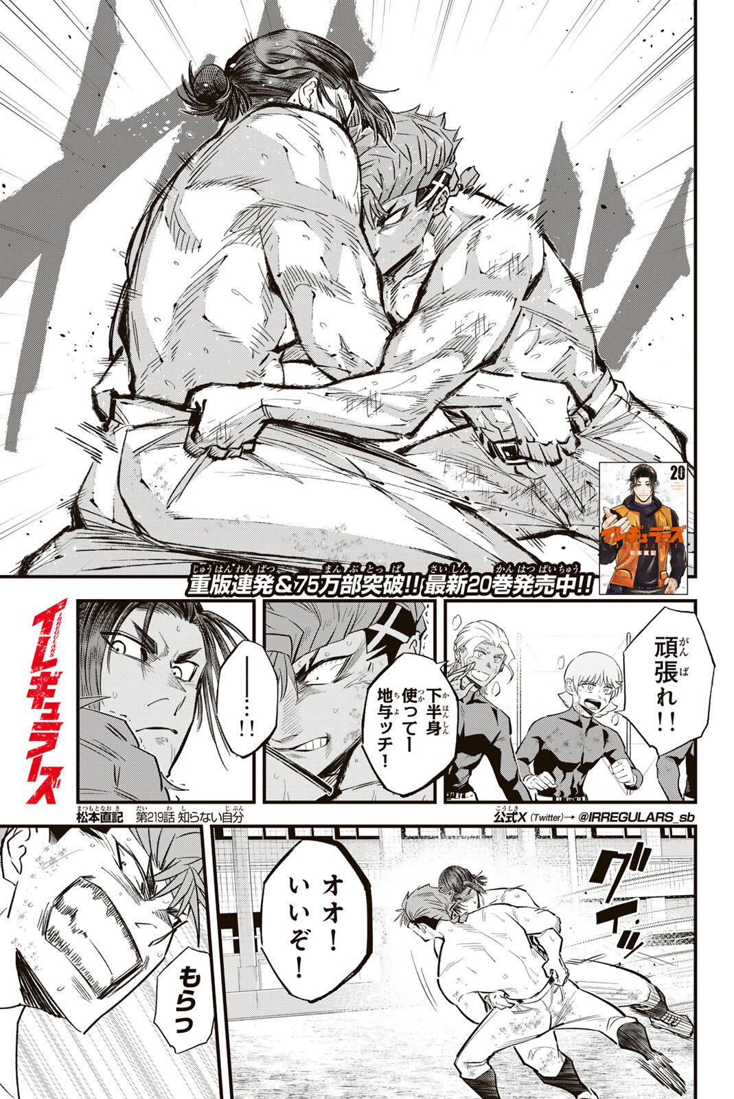 Read IRREGULARS Chapter 219 [High Quality / Full] - Page 1 - nicomanga.com