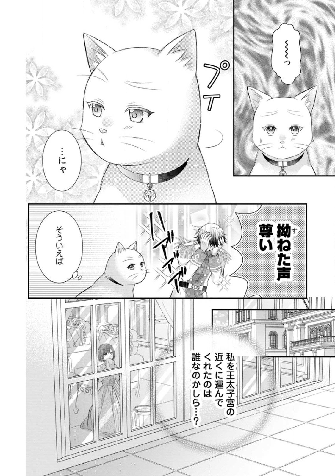NOROI DE NEKO NI SARETA AKUNE, O TAISHI NI HIROWARERU Chapter 21.3 page 12 - nihonkuni.com
