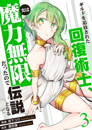 GUILD WO TSUIHOU SARETA KAIFUKU JUTSUSHI, JITSU WA MARYOKU MUGEN DATTA NODE KIKAKUGAI NO KAIFUKU MAHOU DE DENSETSU TO NARU