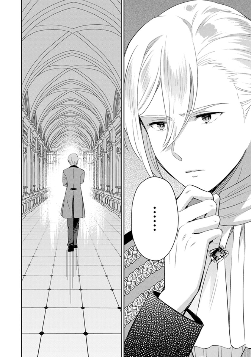 MIGAWARI HAKUSHAKU REIJOU DAKEREDO, KONYAKUSHA DAIRI WA GOKABEN! Chapter 12 page 24 - nihonkuni.com