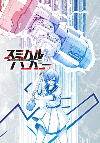 SUMIHARU HAMMER