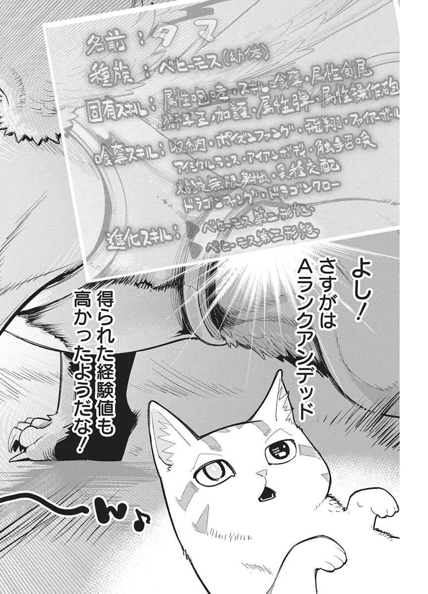I AM BEHEMOTH OF THE S RANK MONSTER BUT I AM MISTAKEN AS A CAT AND I LIVE AS A PET OF ELF GIRL - RAW Chap 90 - Pic 2