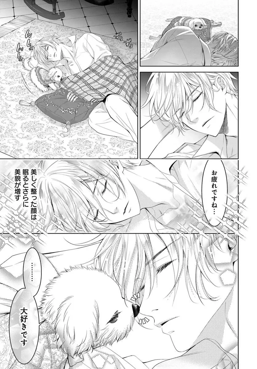KOKUOU HEIKA, WATASHI WO KATTE KUDASAI!: IMOUTO NO MIGAWARI DE MITSUGIMONO NI SAREMASHITA GA, AISARE INU WO MEZASHIMASU Chapter 11.1 page 5 - nihonkuni.com