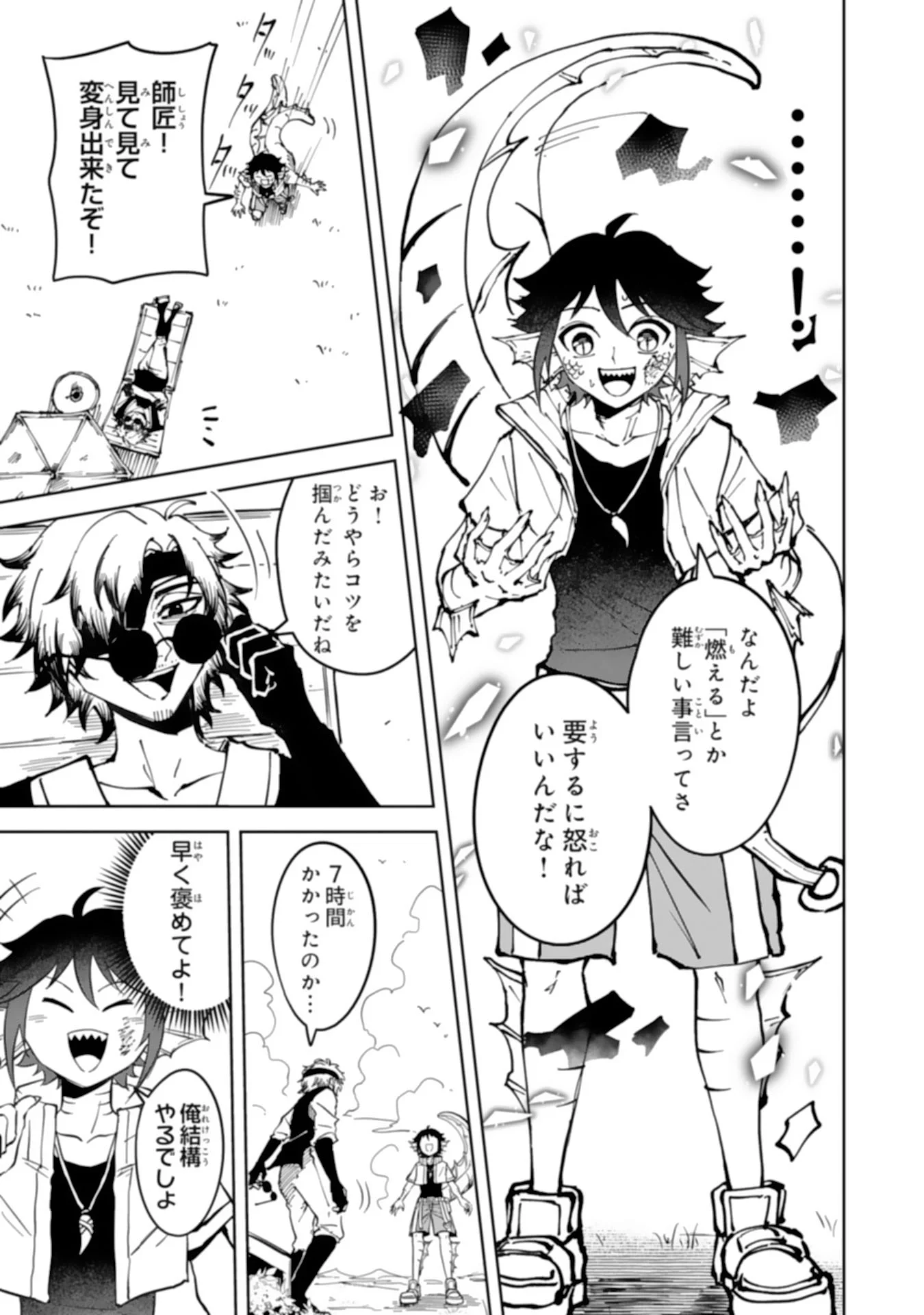 GEMIS Chapter 8.1 - Page 13