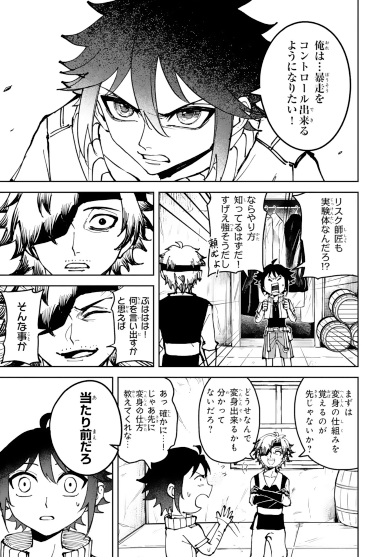 GEMIS Chapter 8.1 - Page 5