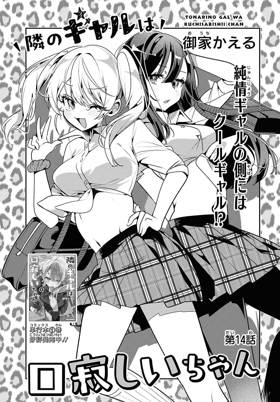 Tonari no Gyaru wa Kuchisabishii-chan Chapter 14 page 3 - nihonkuni.com