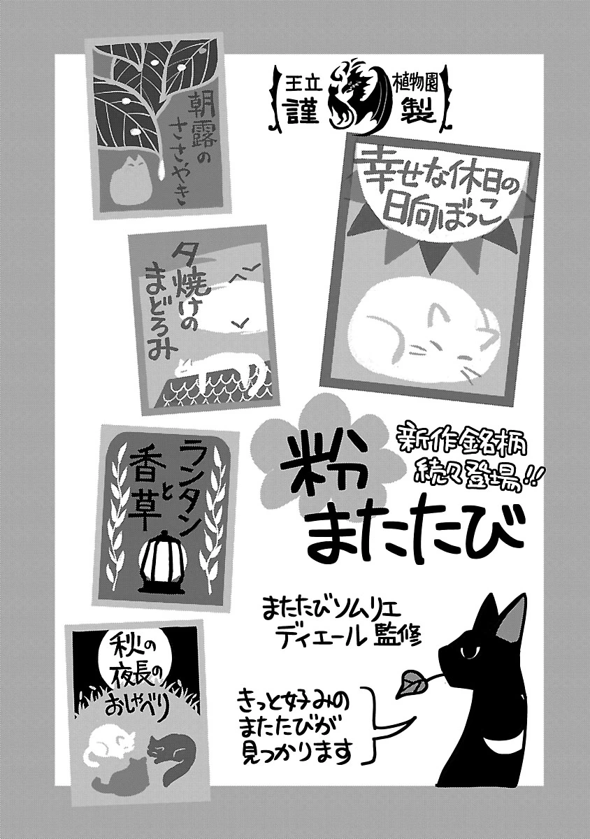 NEKO TO RYUU Chapter 58 - Page 33
