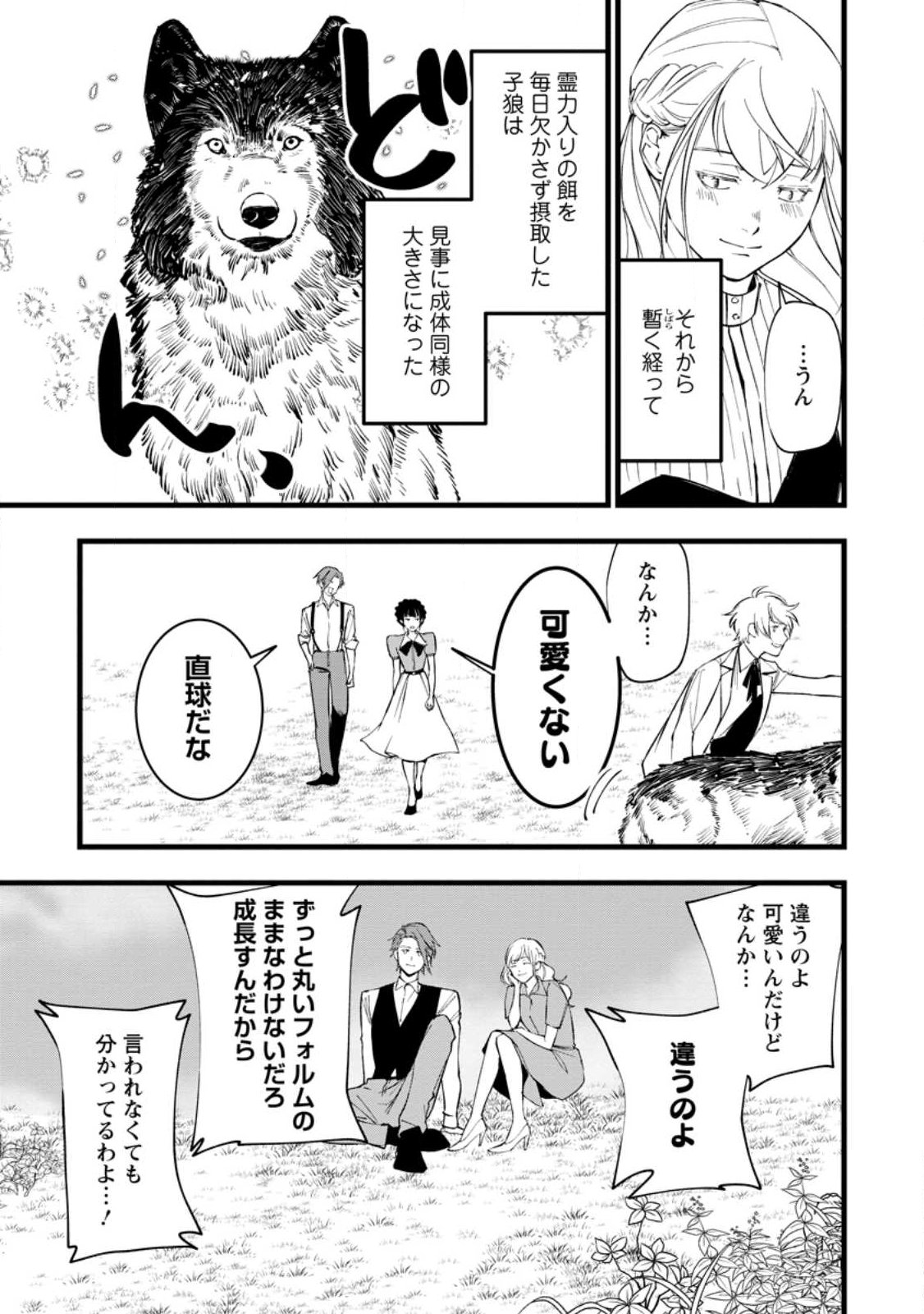 DOKUZU NA KAZOU TO WAKARERU HOUHOU TENSAI NO ANE WA JITSU WA DAME ONNA. MUNOU TO IWARETA IMOUTO WA KYUUKOKU NO MADOUSHI DATTA Chapter 24.5 page 3 - nihonkuni.com