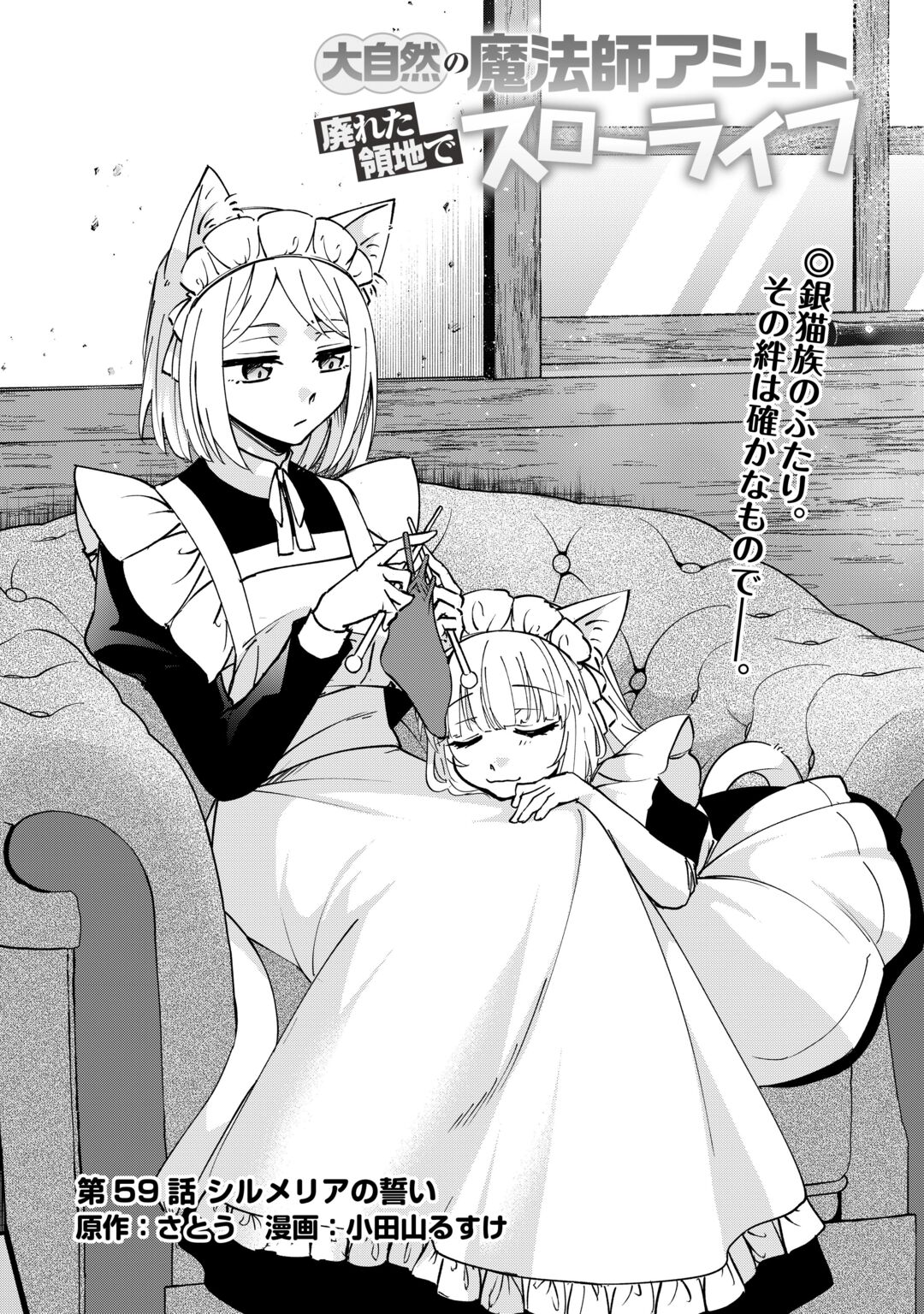 DAI SHIZEN NO MAHOUSHI ASHT, SUTARETA RYOUCHI DE SLOW LIFE (MANGA) - RAW Chapter 59 page 1 - nihonkuni.com
