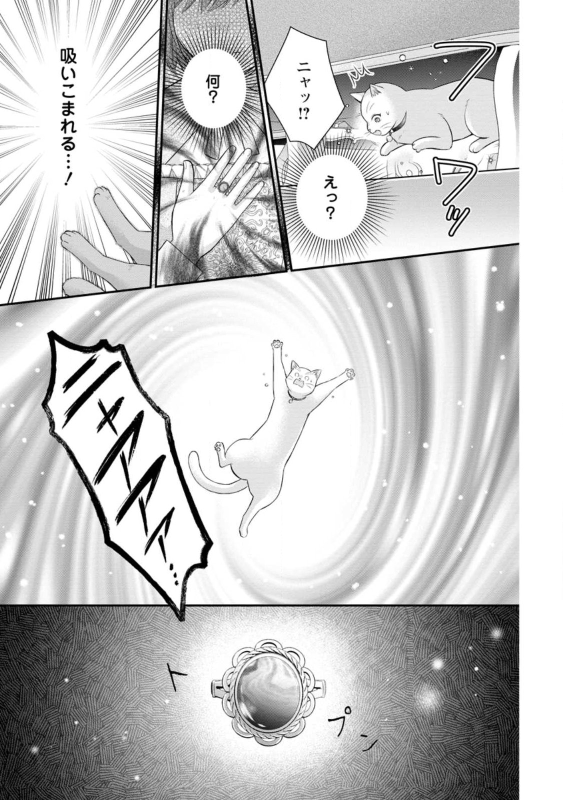 NOROI DE NEKO NI SARETA AKUNE, O TAISHI NI HIROWARERU Chapter 22.3 page 10 - nihonkuni.com
